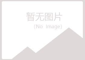 银川西夏映波化学有限公司